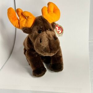 Ty Beanie Buddies Chocolate The Moose 1999 10" Tall by 12" Long